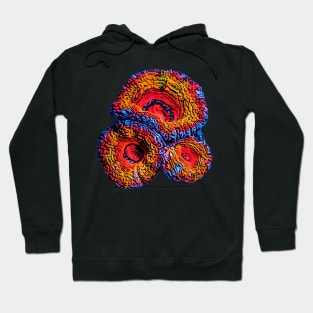 Aussie Lord Coral Art Hoodie